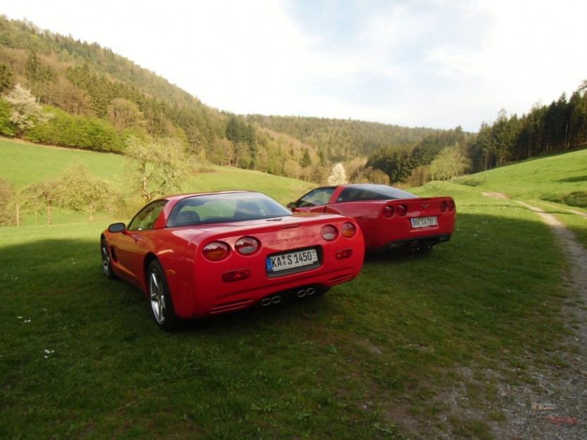 CIMG3955 (FILEminimizer).JPG